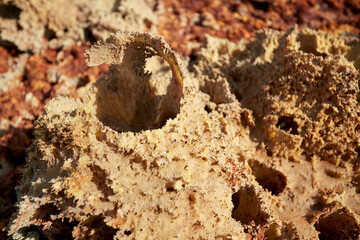 Fumarole of Dallol Volcano in the Danakil Desert, Afar Region, Ethiopia