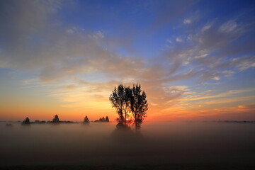 Fototapeta na wymiar 木々の間から昇る朝日