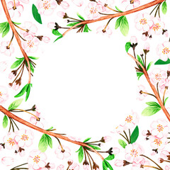 Sakura square frame.A blooming cherry branch.Watercolor illustration.Isolated on a white background.