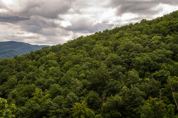 Fototapeta na wymiar Clouds and Trees at Great Smoky Mountains National Park, Tennessee