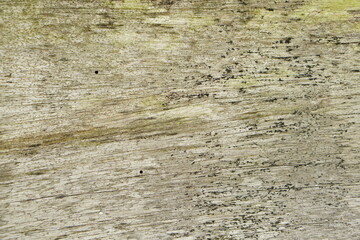 background pattern on wooden floor.