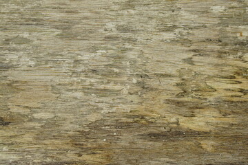 background pattern on wooden floor.