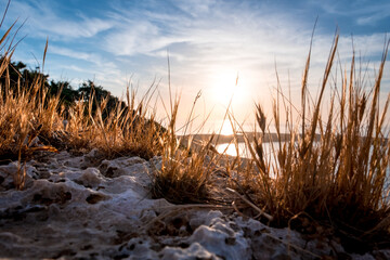 Fototapeta premium Morning sunrise at the Bay and Coast at Cape Greco National Park near Ayia Napa, Cyprus. Summer landscape in Cyprus. Flowers and grass in the morning sun