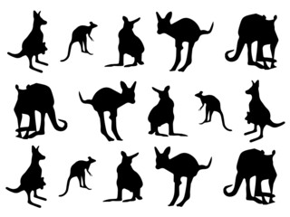 Kangaroo Black kangaroo Vector Image. Black kangaroo Royalty Free Vector Image. Australia symbol kangaroo Royalty Free Vector Image