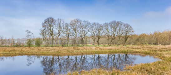 Panorama of a little pond in the nature reserve Wildemerk, Netherlands