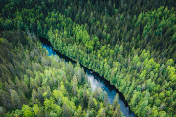 Aerial view of the forest and the river in which the sky is reflected. Summer landscape in the...