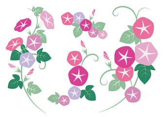 朝顔のイラスト