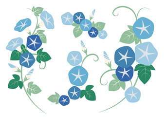 朝顔のイラスト