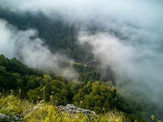 View from the top of the mountain to the coniferous forest and the river in the fog, summer mountain landscape