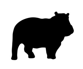 beautiful happo standing in style. Hippo silhouette. Vector illustration