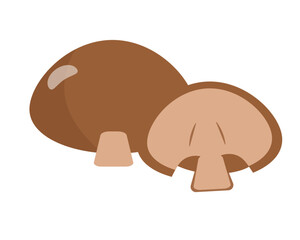 マッシュルーム きのこ 野菜 ベクターイラスト