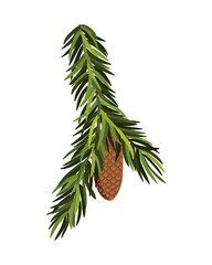 Fir tree branch with hanging cone. Green spruce branch as natural evergreen decoration element for banner. Isolated on white  illustration