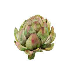 Obraz premium Artichoke vegetable watercolor painting illustration isolated on white background.