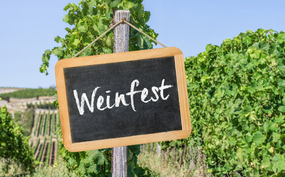 Tafel im Weinberg - Weinfest