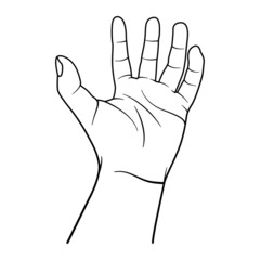 Hand illustration with black outline style