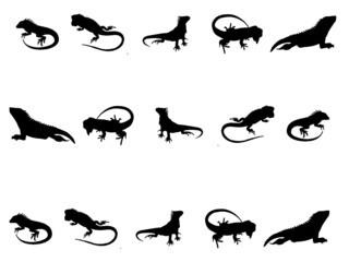 Iguana black sign stock vector. Iguana Vector Image. Vector iguana royalty-free images. Iguana Images. Iguana Vector