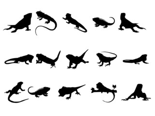 Iguana Images. Iguana black sign stock vector. Iguana Vector Image. Iguana Silhouette Free Vector