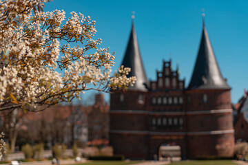 Obraz premium Holstentor im Frühling Lübeck