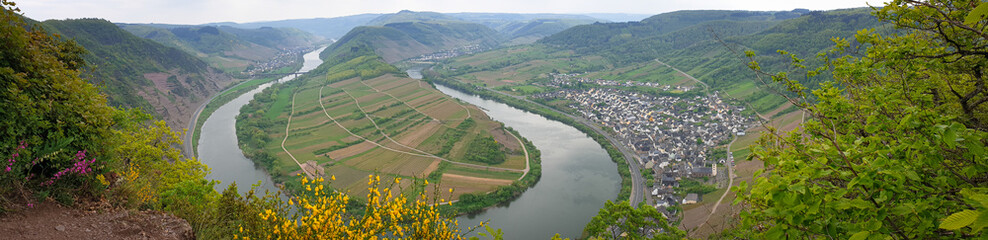 Fototapeta na wymiar Panorama of a bend in the Moselle River near the village of Bremm in western part of Germany