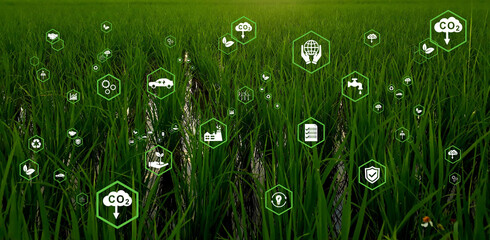 Net Zero - Icon with Net Zero on green rice fields. Net Zero and Carbon Neutral Concepts . Net Zero...