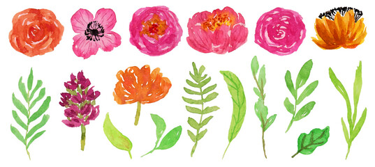set of cute flower and leaf watercolor