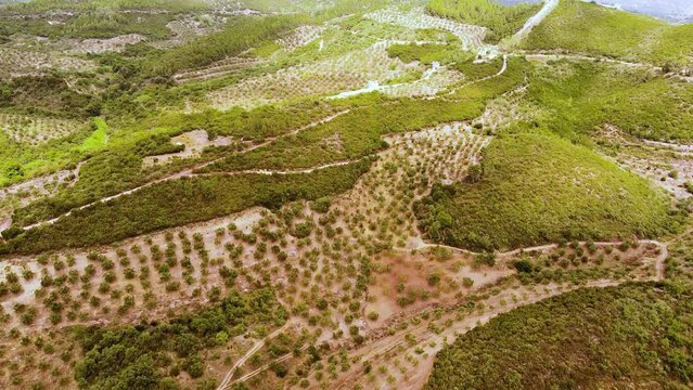 Aerial view of Ancient Messini wall ruins