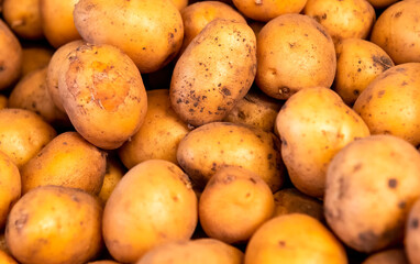 potatoes on the market