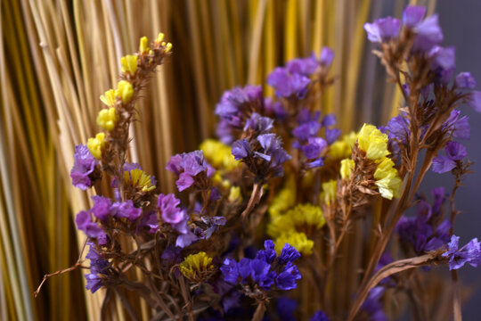 Yellow And Blue Dried Flowers And Straw. Herbarium.