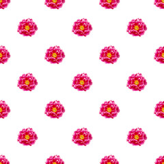 Seamless floral pattern with pink peony bud on white background.
