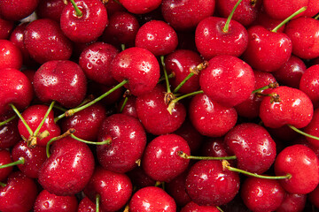 Close up of ripe cherries texture background