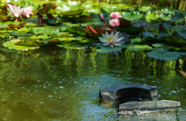 Obraz na płótnie Canvas Skimmer floats on surface of water in pond. Close-up. Beautiful and clean pond with blurred water lilies on background. Skimmer collects leaves, dirt and other foreign objects from surface of water.