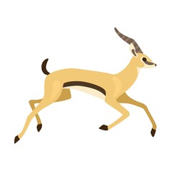Antelope cartoon illustration. Impala with long horns running, jumping and butting on white. Animal, wildlife
