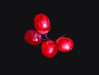 Vector illustration of red cherry on the black background.