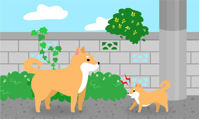 Obraz na płótnie Canvas ブロック塀と柴犬