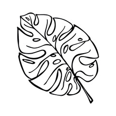 Simple tropical leaf illustration. Hand drawn monstera leaf vector clipart. Botanical doodle for print, web, design, decor, logo.