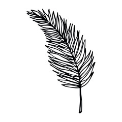 Fototapeta premium Simple tropical leaf illustration. Hand drawn vector clipart. Botanical doodle for print, web, design, decor, logo.