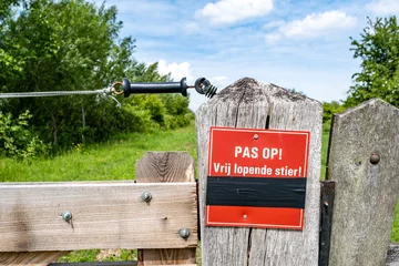 Fototapeten Pas op! Vrij lopende stier   Look out! Free walking bull © Holland-PhotostockNL