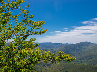 Fototapeta na wymiar panorama of a beautiful mountainous area. sunny in the afternoon. beautiful spring landscape in the mountains.