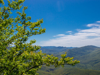 panorama of a beautiful mountainous area. sunny in the afternoon. beautiful spring landscape in the mountains.