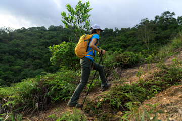Woman backpacker hiking in summer forest mountain