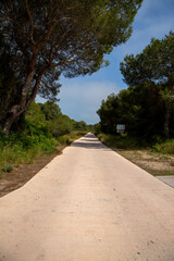 One of the walks through the protected area of l' Albufera of Valencia