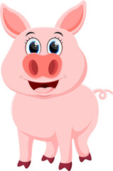 Fototapeta premium Cute Pig cartoon, isolated on white background