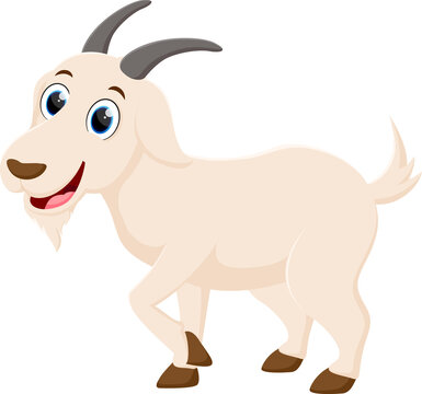 Cute goat cartoon, isolated on white background
