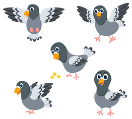 Cute Pigeon cartoon set with different poses 