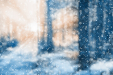  blurred winter forest