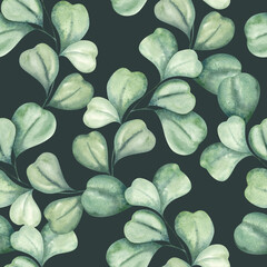 Watercolor Eucalyptus leaves. Green branches of a eucalyptus tree. Plant seamless pattern on dark green background.