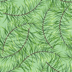 Watercolor pine branches. Drawing of branches with fluffy needles. Botanical seamless pattern on a green background.