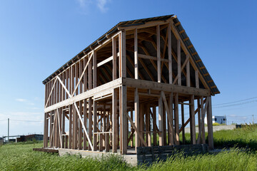 Construction of a wooden frame house
