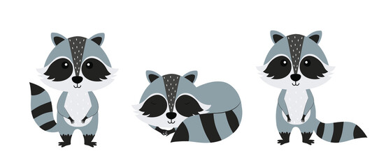 Set of cartoon characters raccoon on white background.Raccoon icon.Vector illustration for design and print