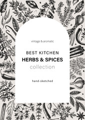 Hand-drawn herbs and spices vintage card. Hand-sketched food vector illustration. Aromatic plant drawings. Kitchen herbs and spice frame arc template in sketched style for invitation, menu, banners